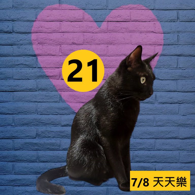 24242-6