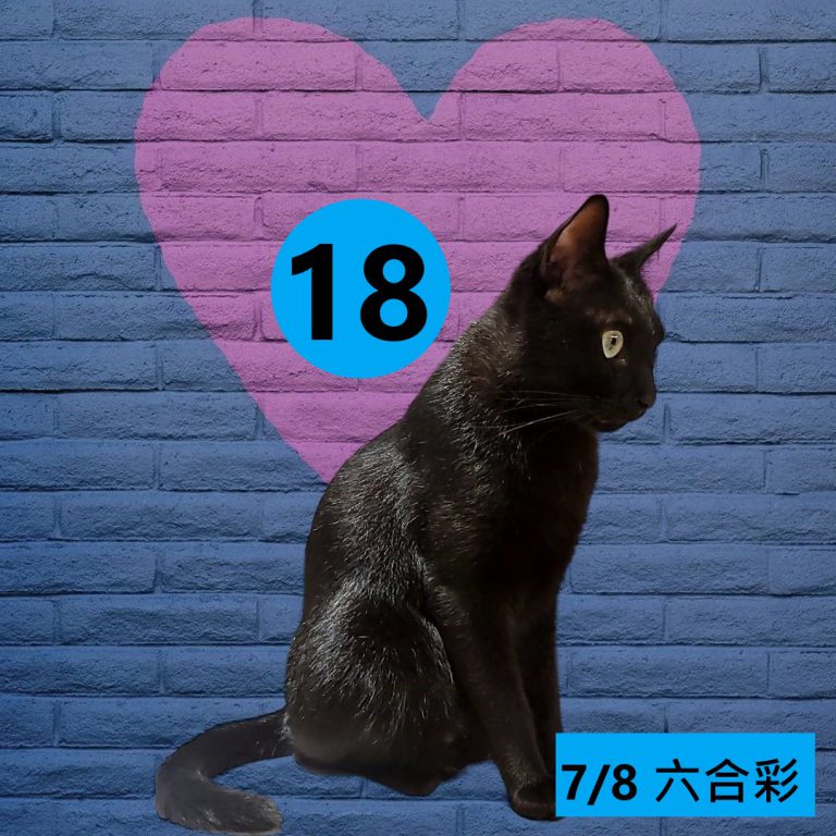 24242-7