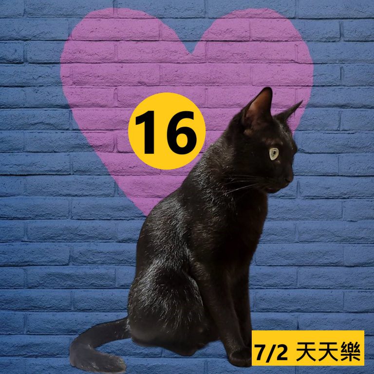 24242