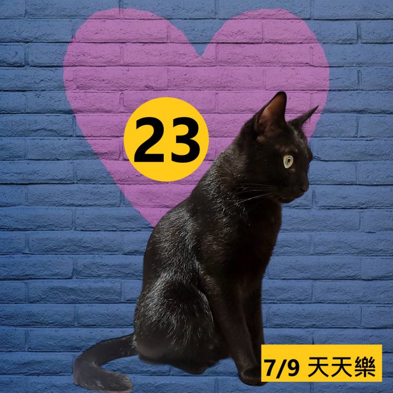 24242-8