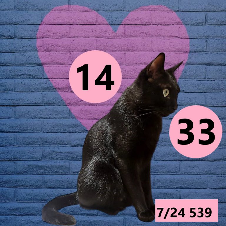 2453432-12