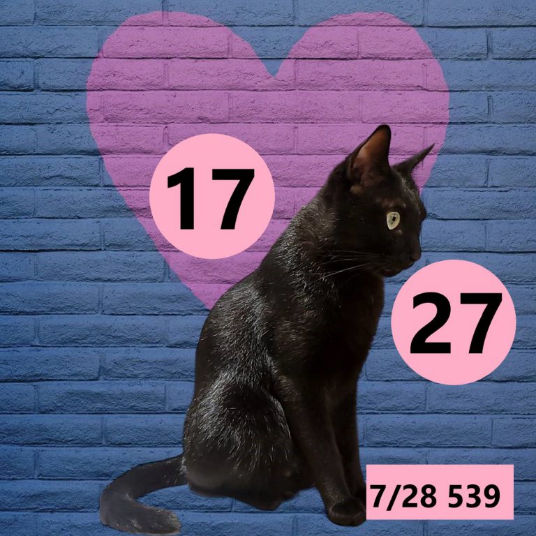 2453432-15