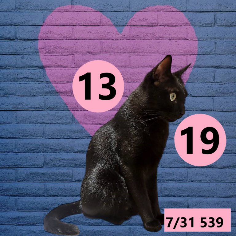 2453432-17