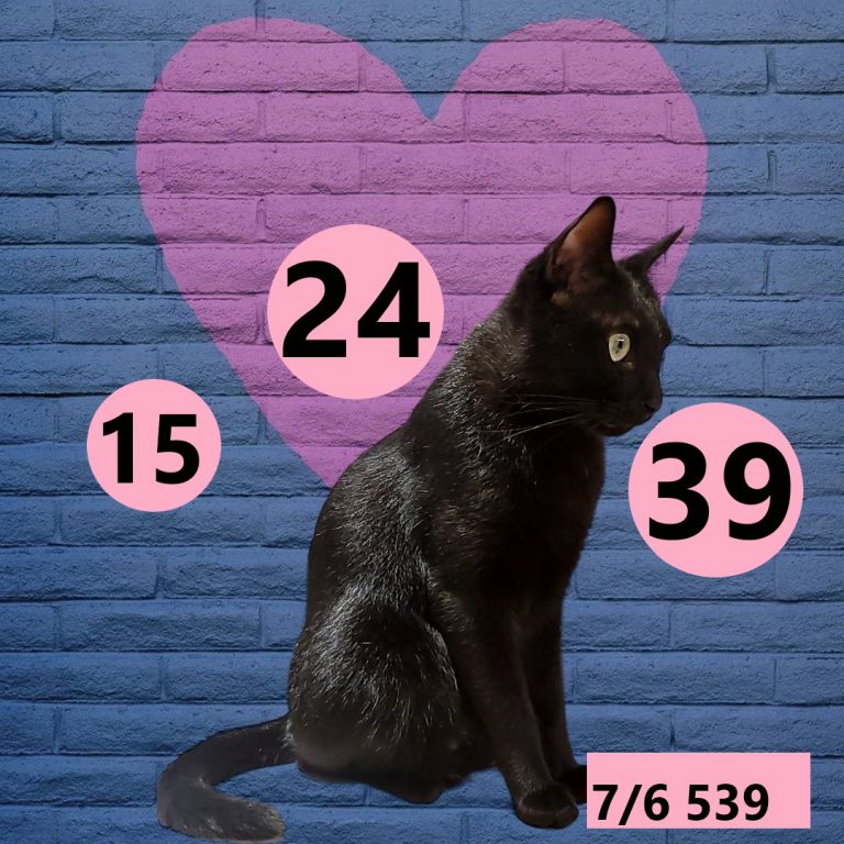 2453432-2