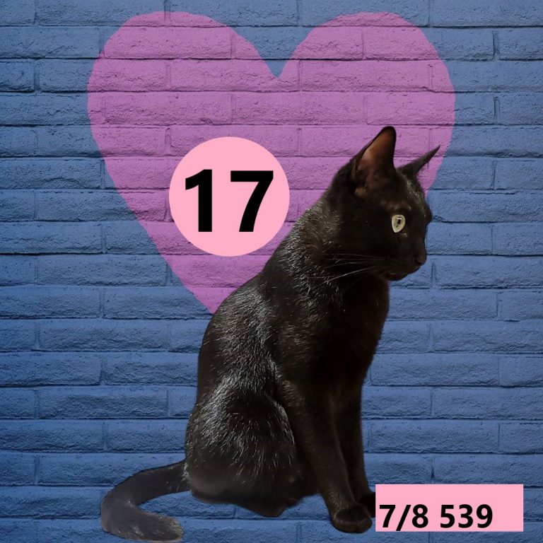 2453432-3