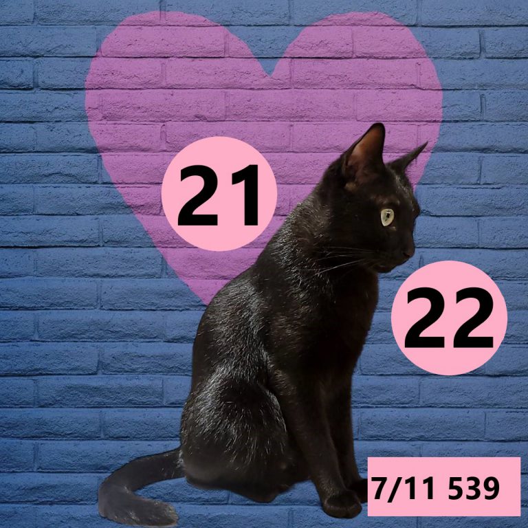 2453432-4
