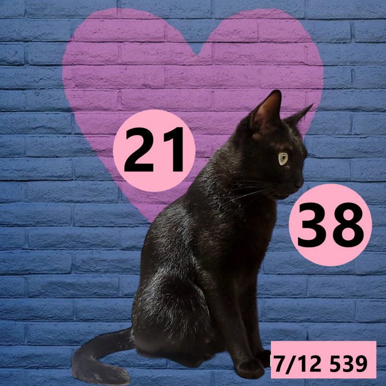 2453432-5