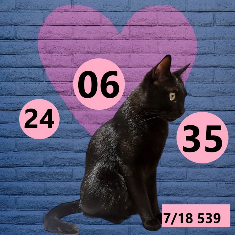 2453432-7
