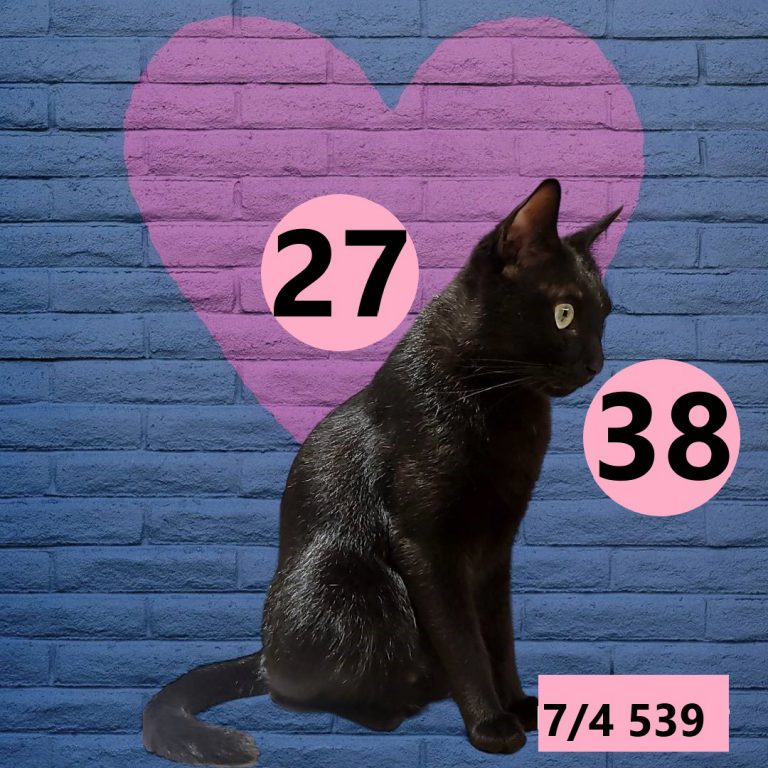 2453432