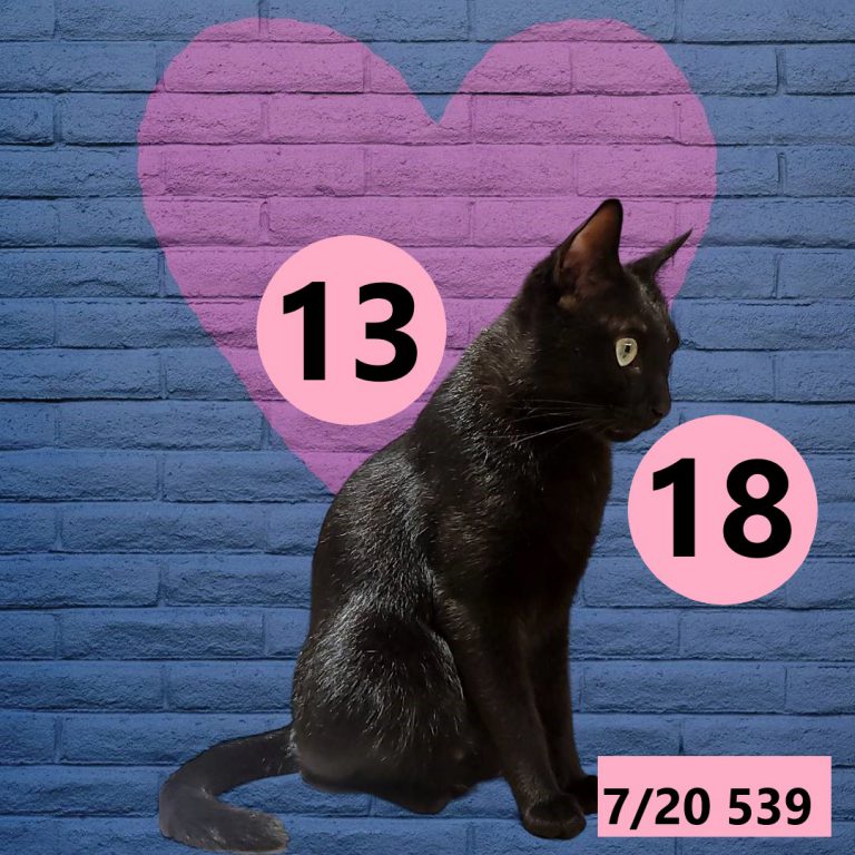 2453432-9