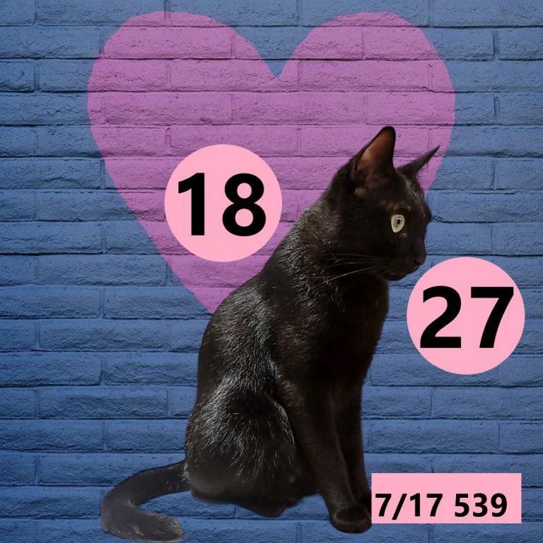 254245-6