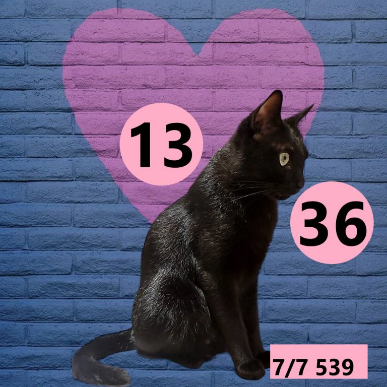 45245245-4
