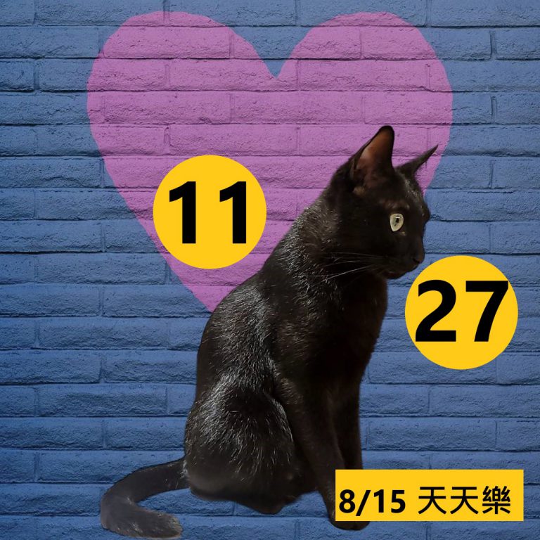 24242-13