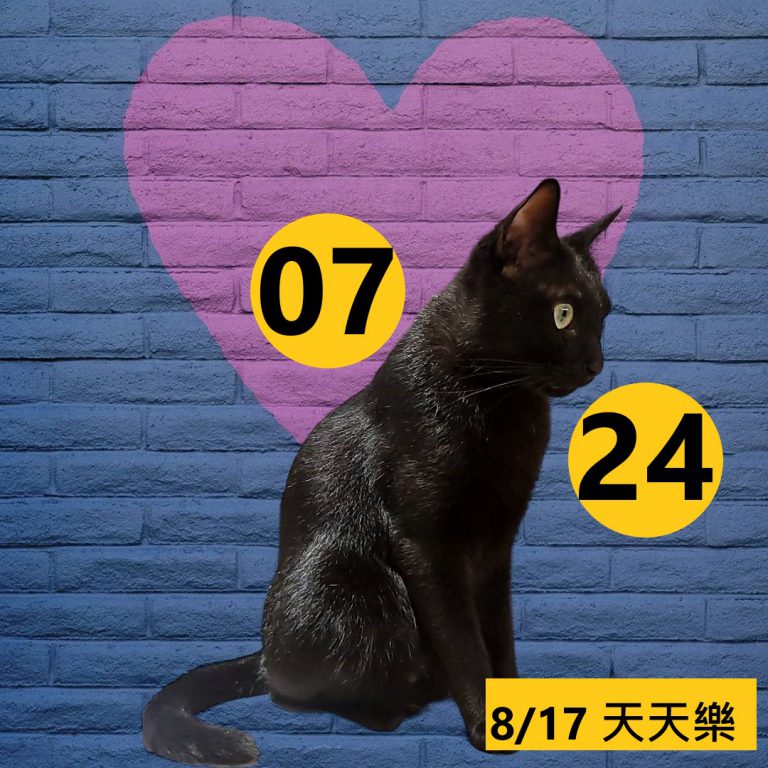 24242-14