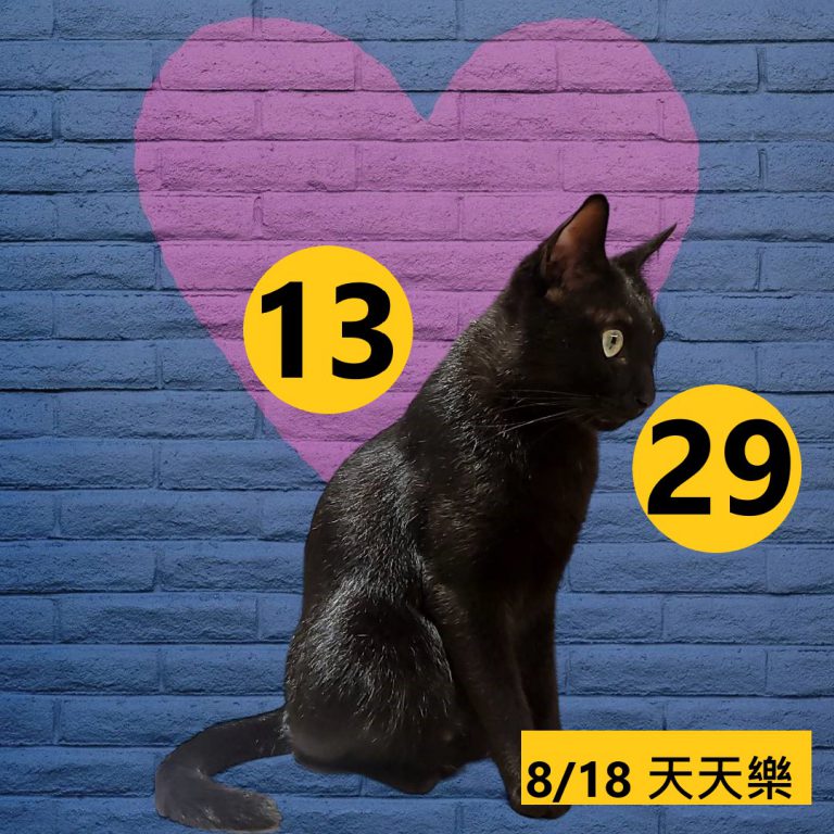 24242-15