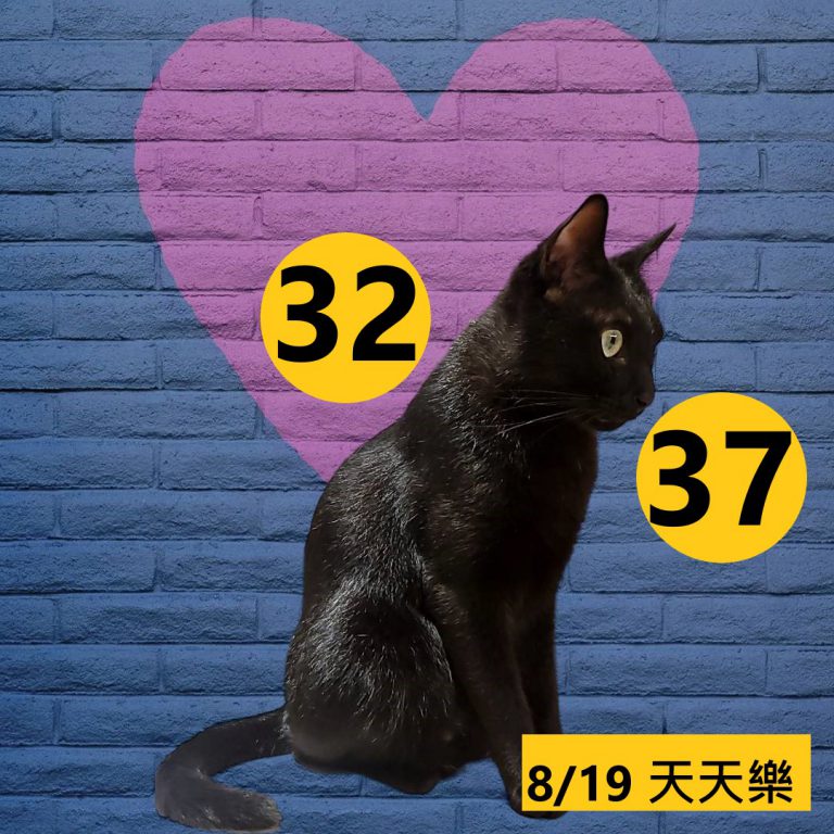24242-16
