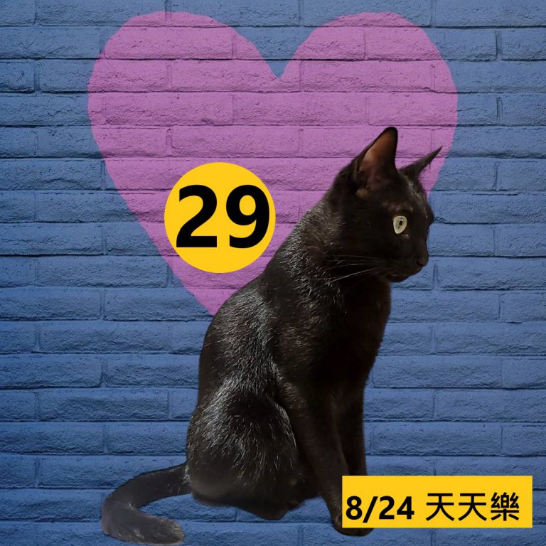 24242-21