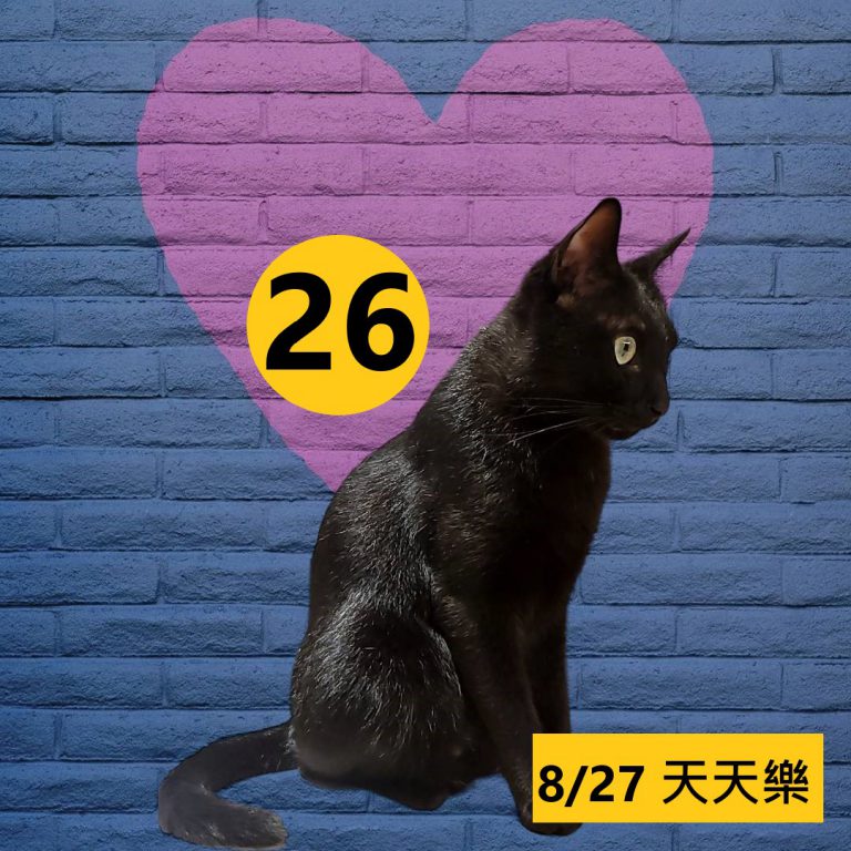 24242-24