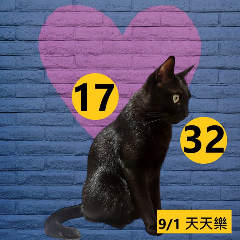24242-29