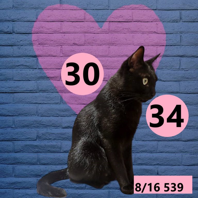 2453432-12