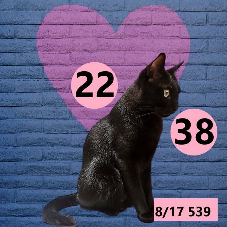 2453432-13