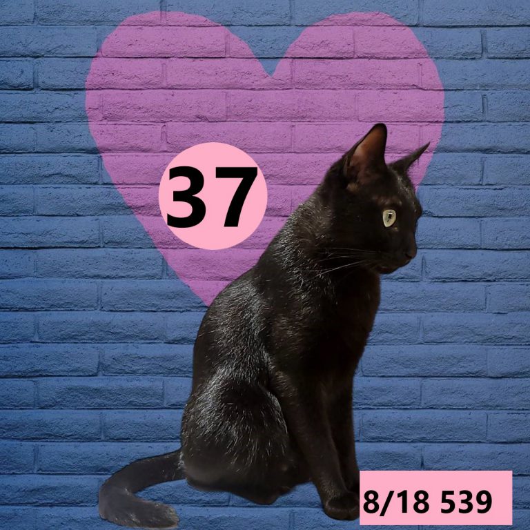 2453432-14