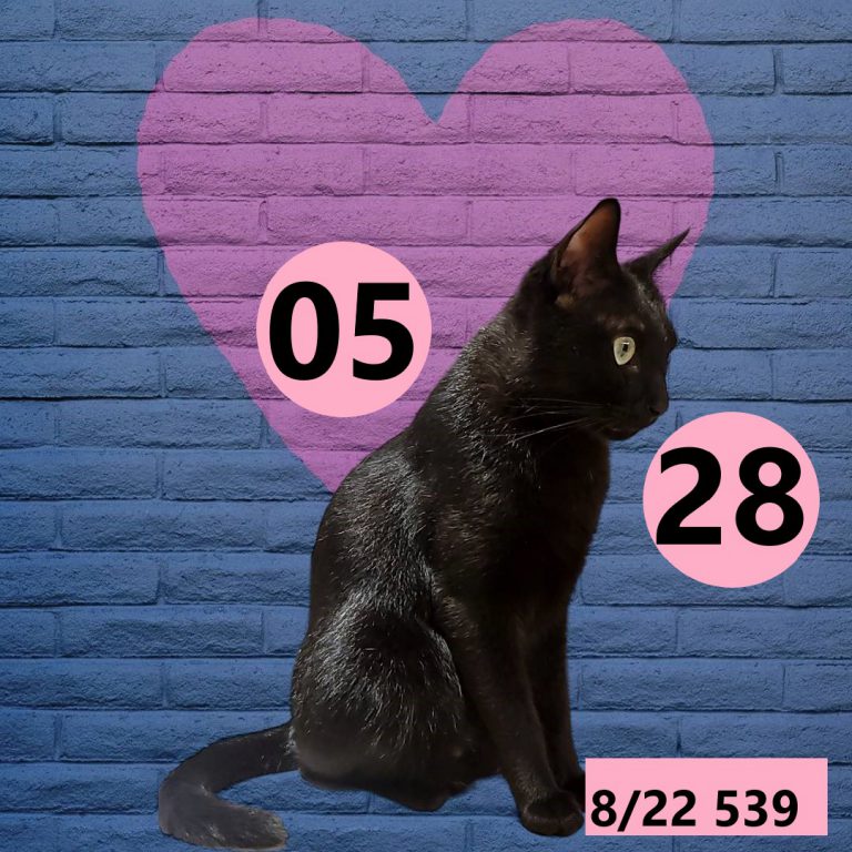 2453432-17