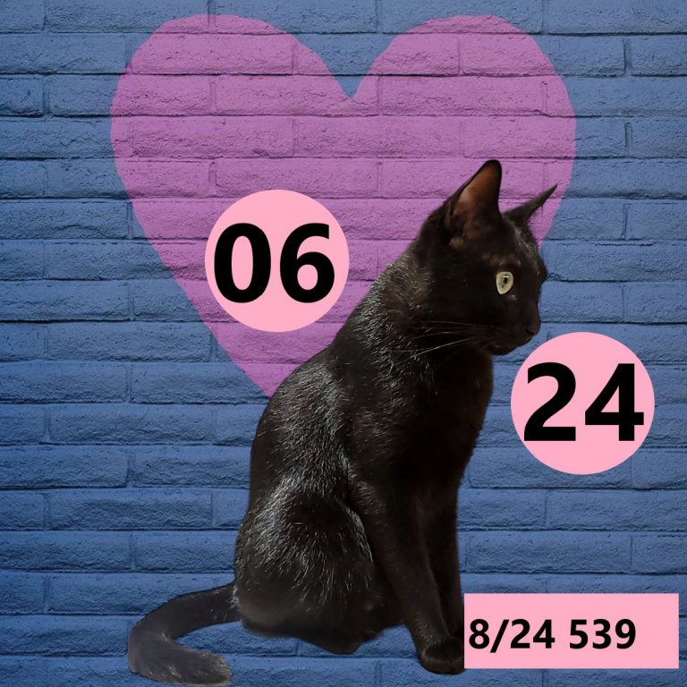 2453432-19