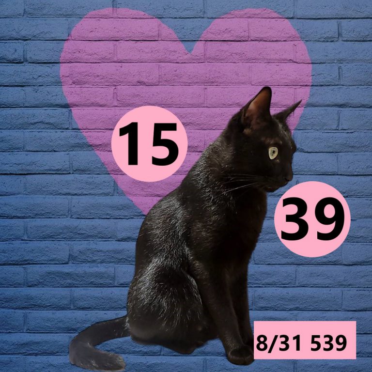 2453432-25