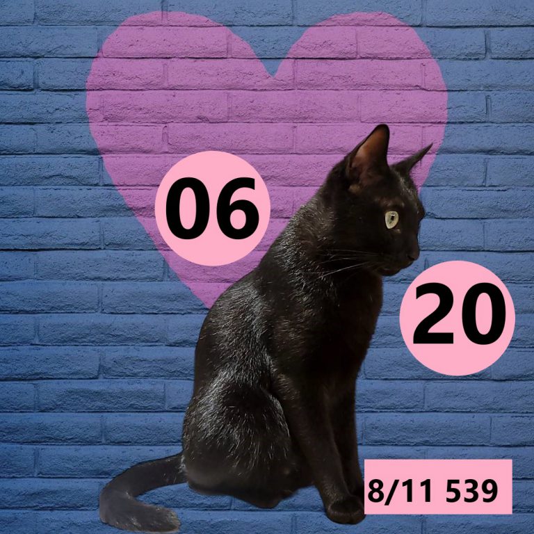 2453432-8