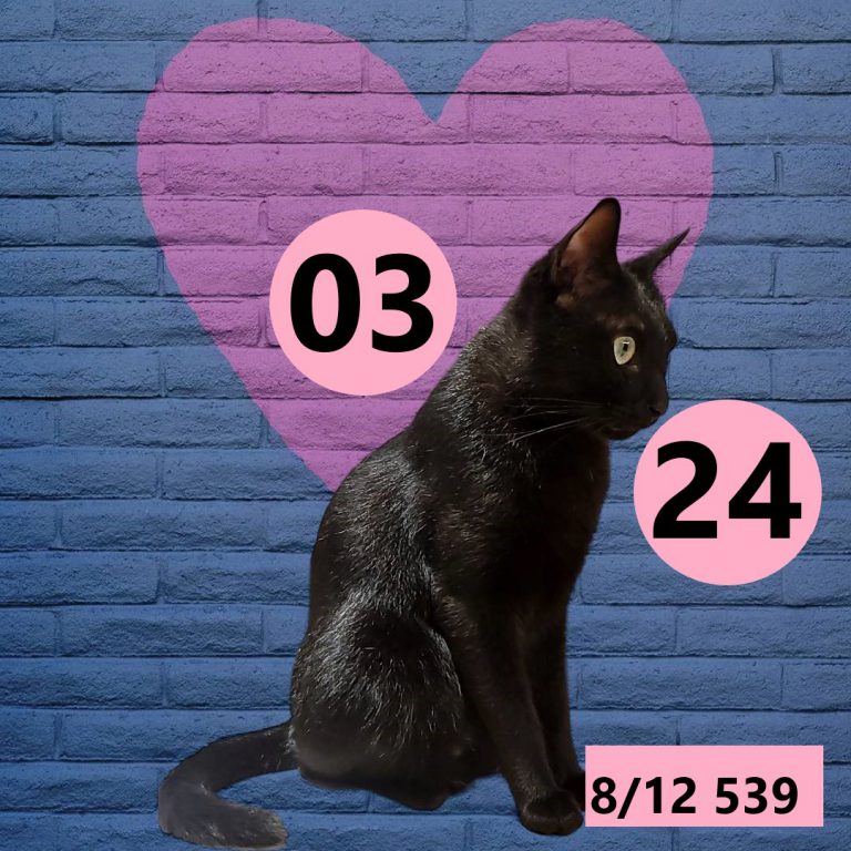2453432-9
