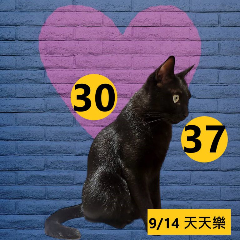 24242-12