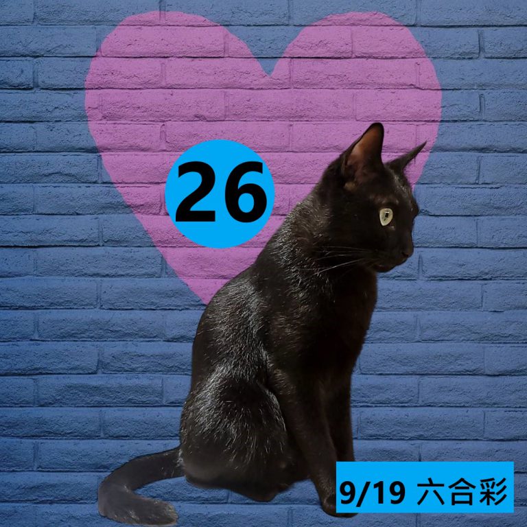 24242-15