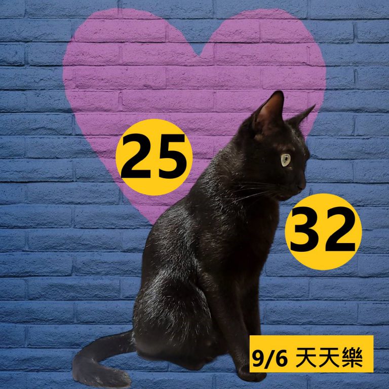 24242-4
