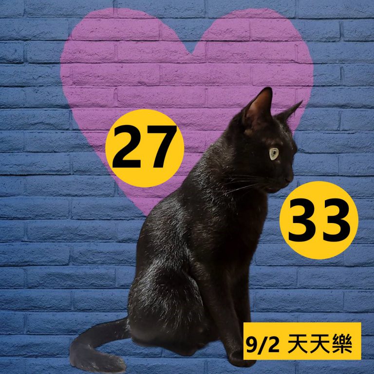 24242