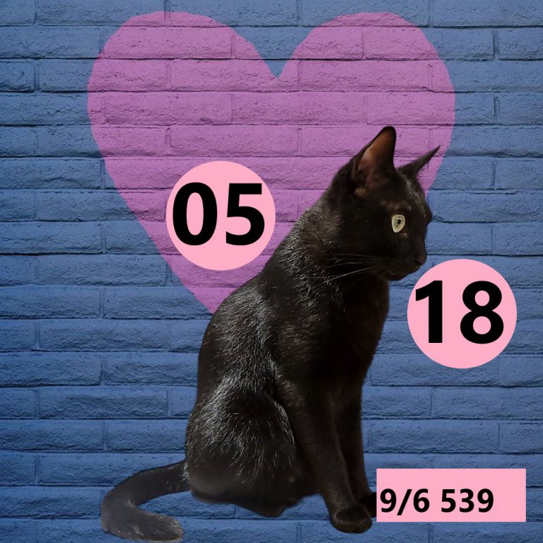 2453432-4
