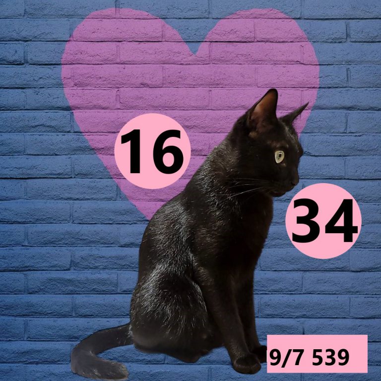 2453432-5