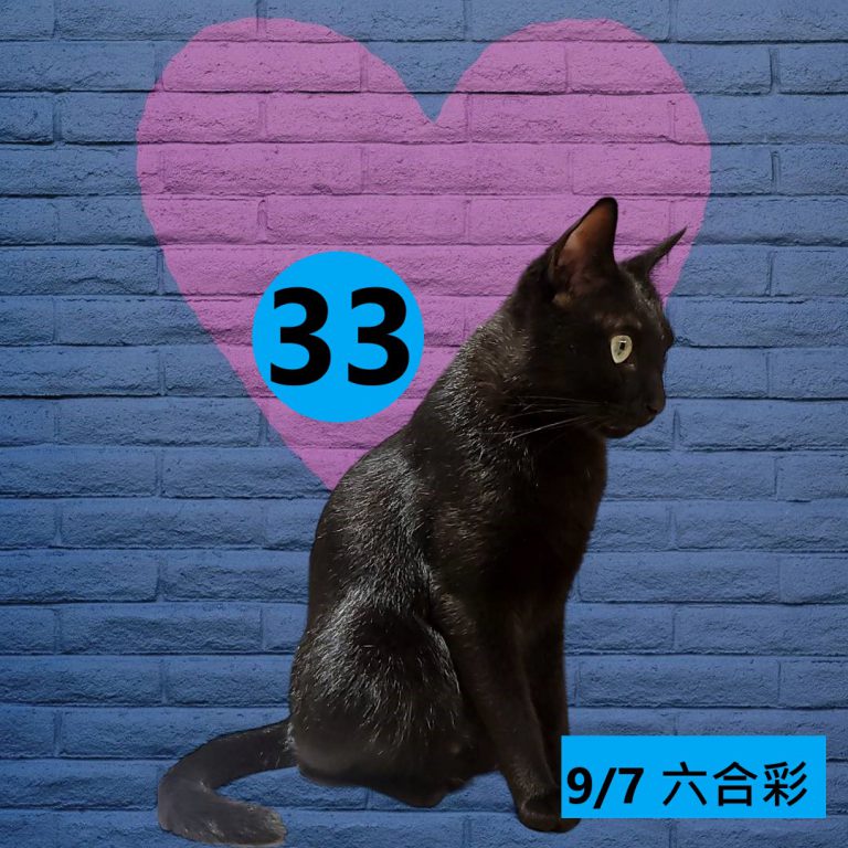 45245245-2