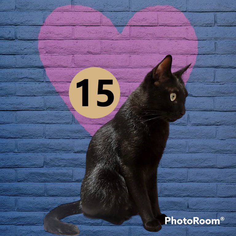 111-13
