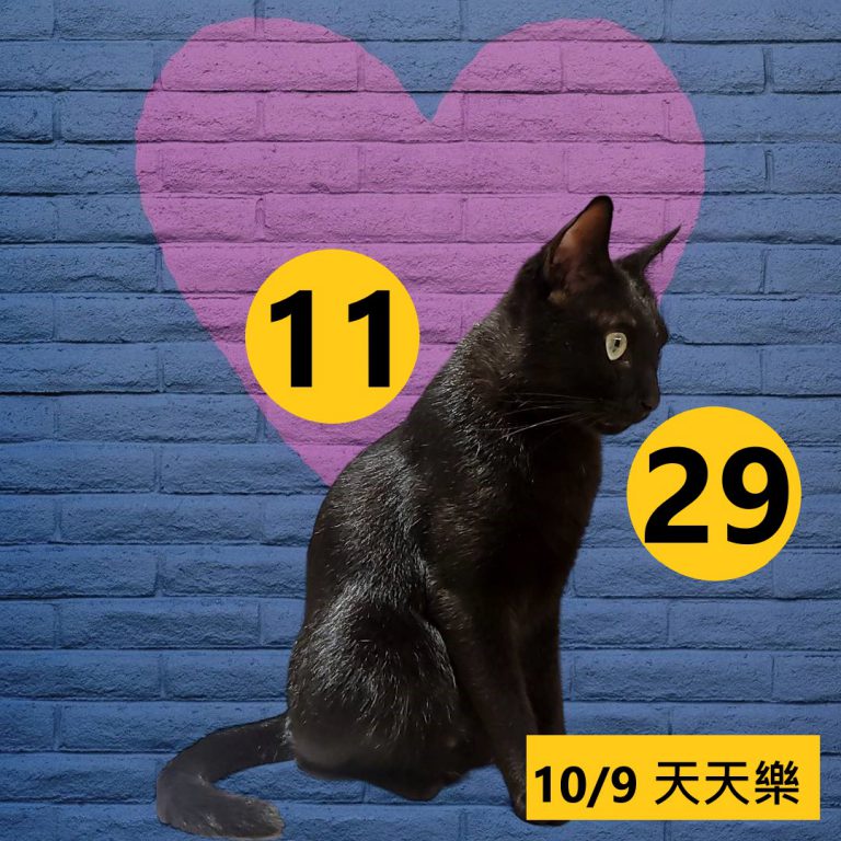 111-8