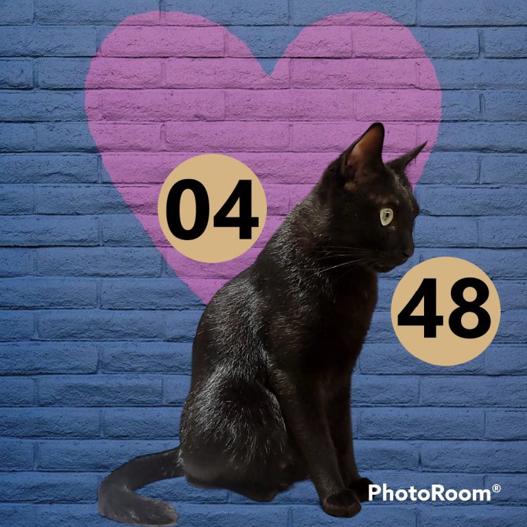 111-9