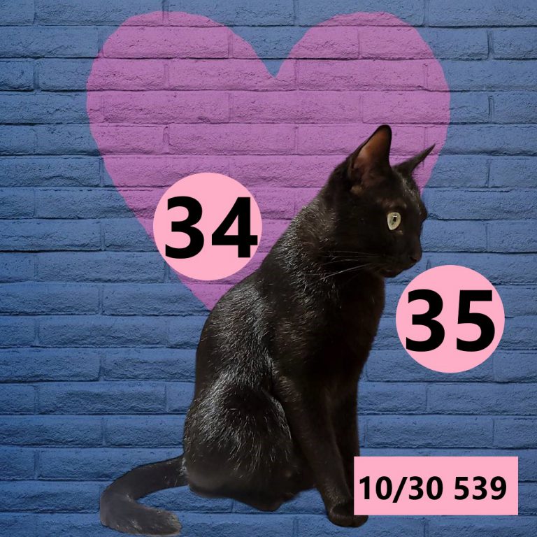 540378-25