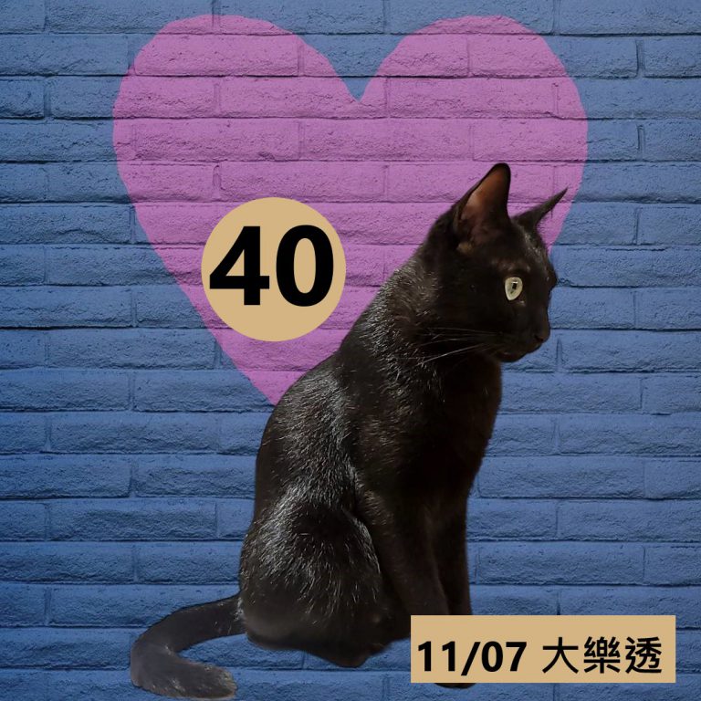 111-1