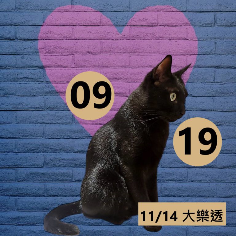 111-3