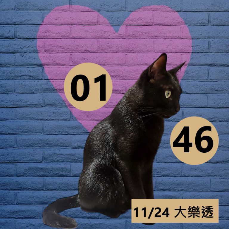 111-6