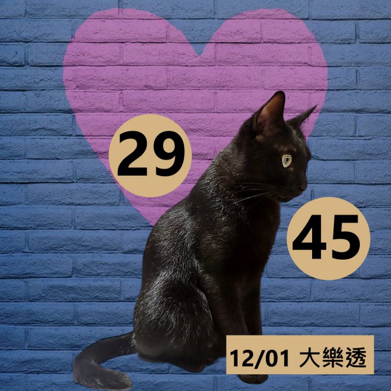 111-8