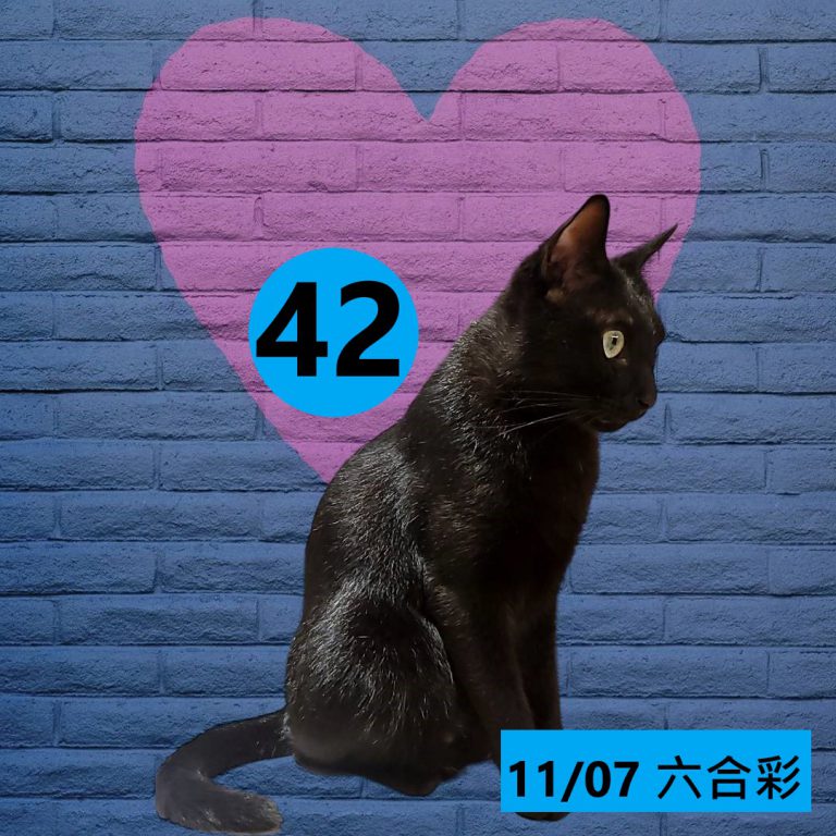 24525425-2