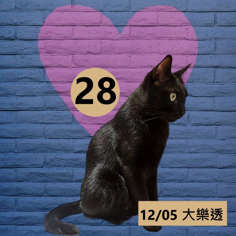 111