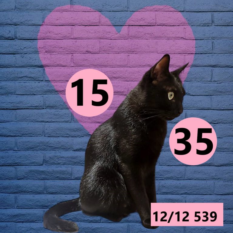 12212-12