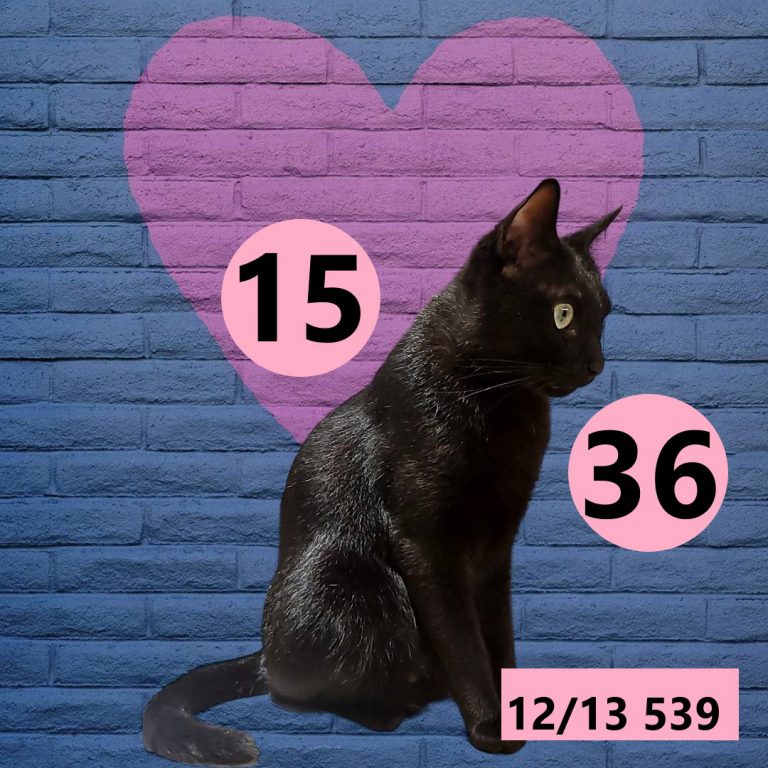 12212-14